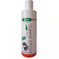 Antilice Shampoo - 150 ML