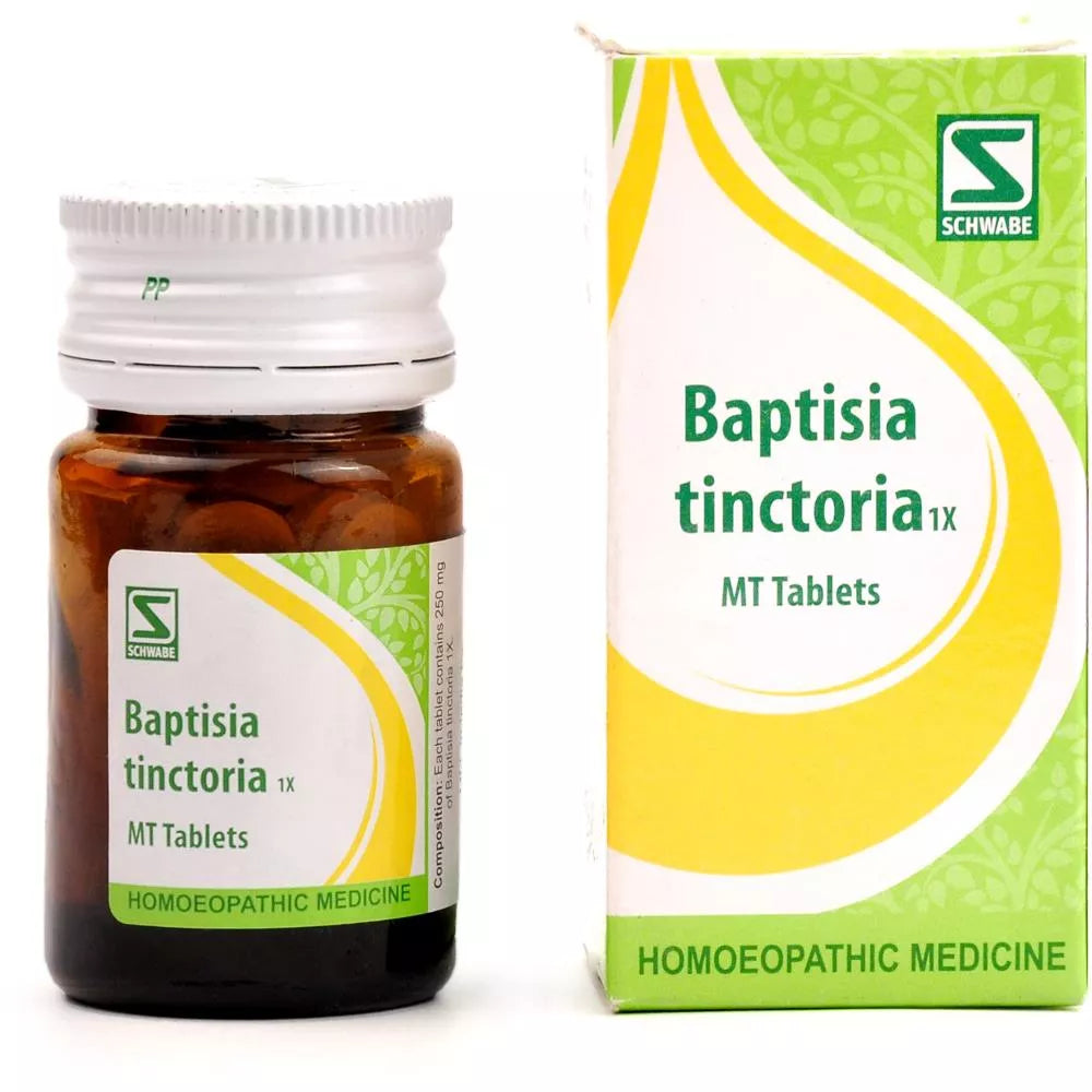 Baptisia Tinctoria 1X Tab - 20 g