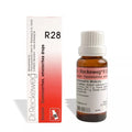 Reckeweg R28 Exhaustion (Loss of Blood) Drops - 22 ml