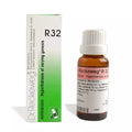 Reckeweg R32 Excessive Perspiration Drops - 22 ml