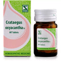Crataegus Oxyacantha 1X Tab - 20 g