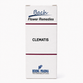 Clematis