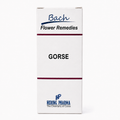 Gorse