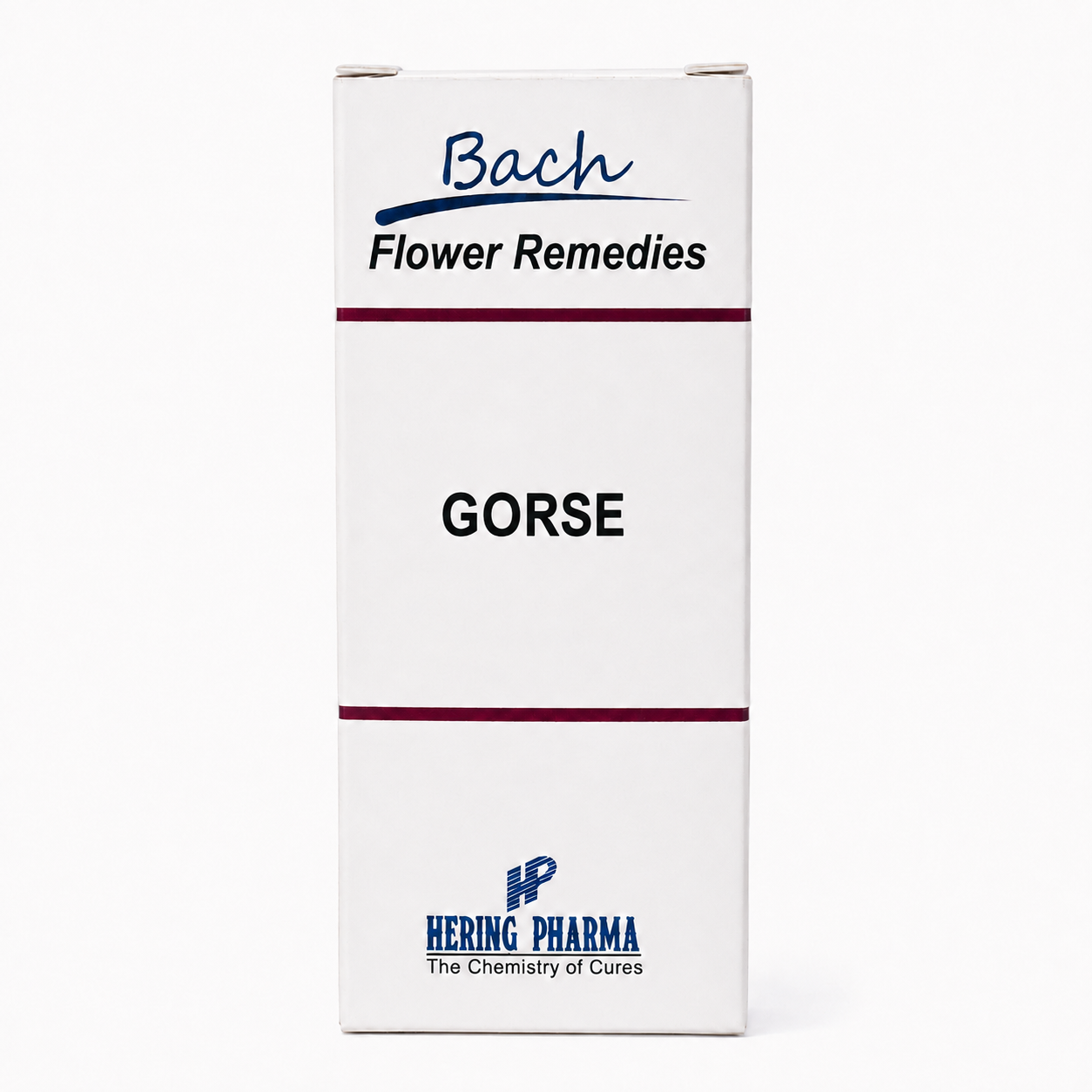Gorse