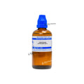 Chenopodium Anthelminticum