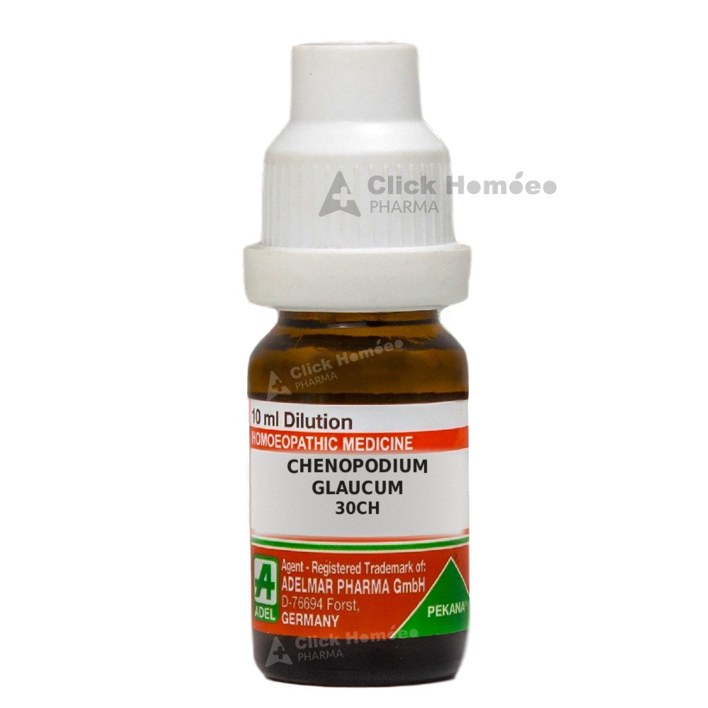 Chenopodium Glaucum - 10 ml