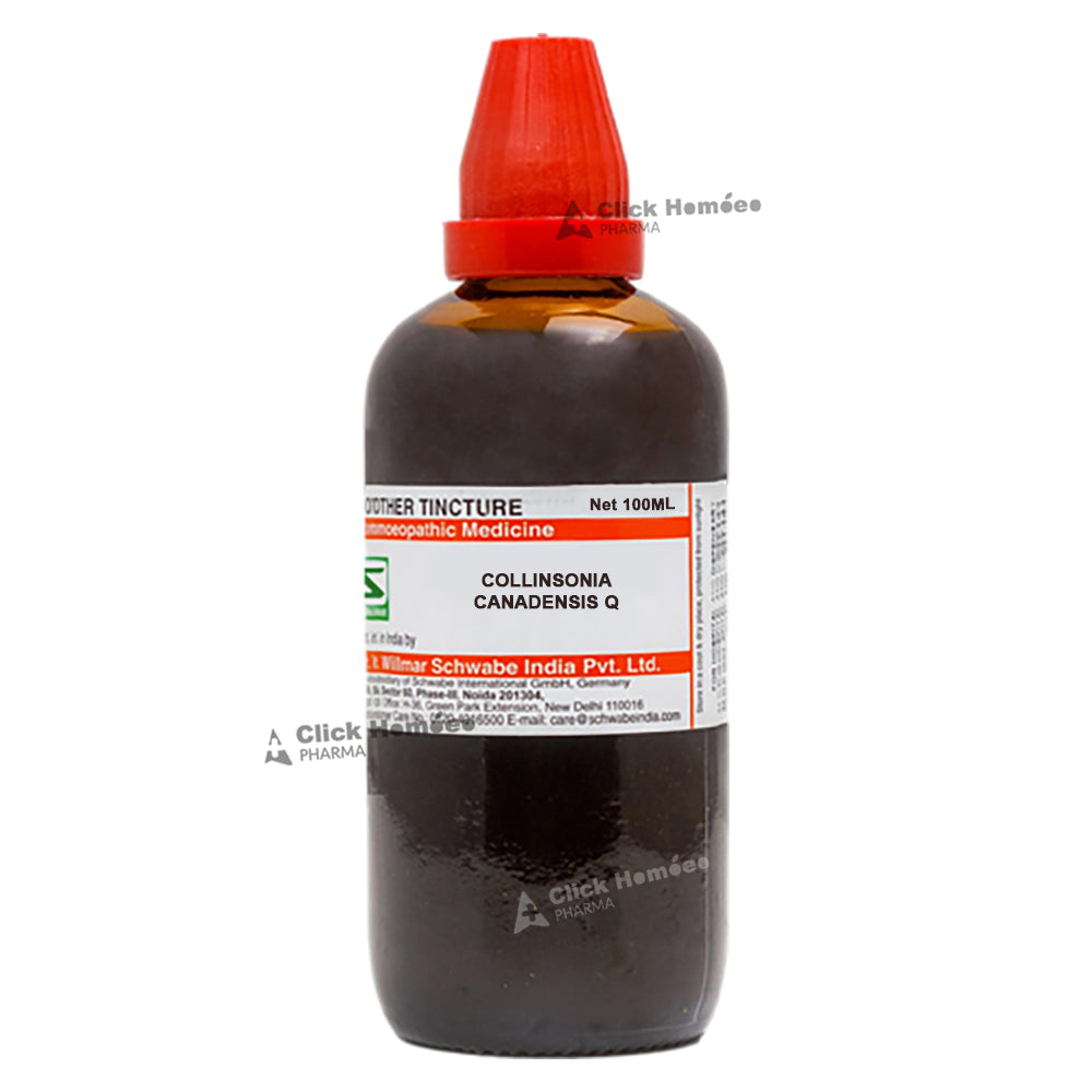 Collinsonia Canadensis