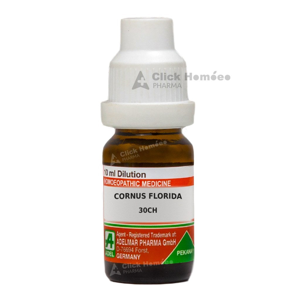 Cornus Florida - 10 ml