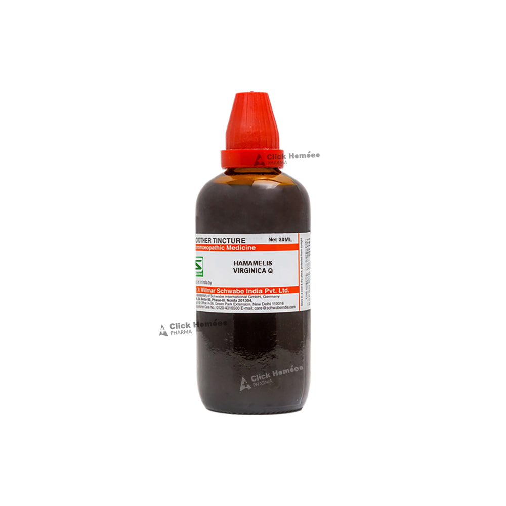 Hamamelis Virginica