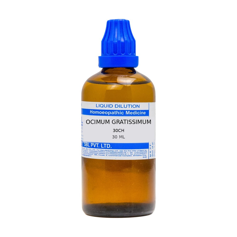 Ocimum Gratissimum