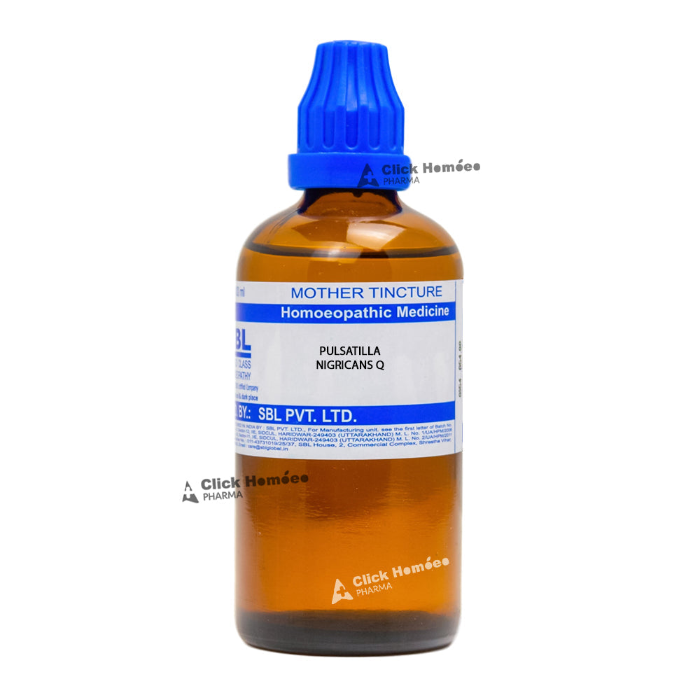 Pulsatilla Q 100ml SBL