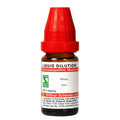 Rheum