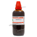 Sarsaparilla