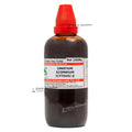 Spartium Scoparium (cytisus) Q - 100 ml