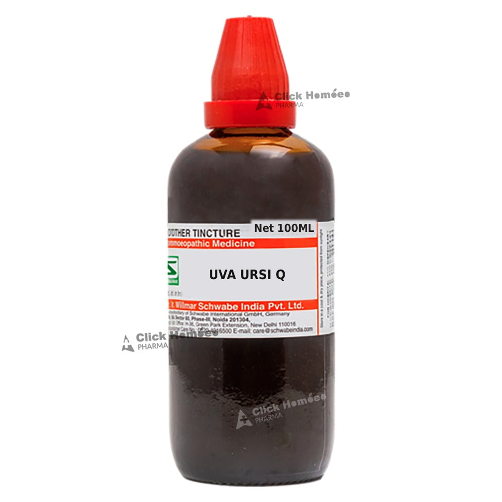 Uva Ursi Q